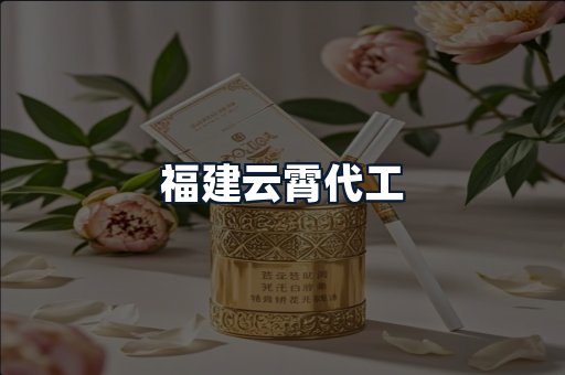 福建云霄代工